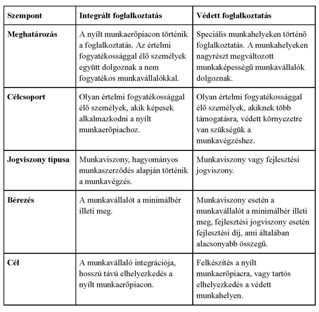 Foglalkoztatasi formak 1024x1003 1