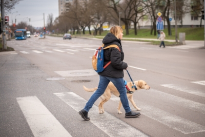 Kovacs margit alfa kozkekedik 2 400x267 1