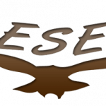 Látássérültek Segédeszköz Konferenciája (LESEK.)
