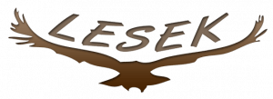 Látássérültek Segédeszköz Konferenciája (LESEK.)