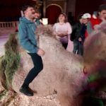 Narrált cirkuszi előadás vasárnap 14 órától a Hobby Rádióban